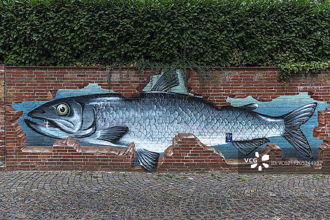 鱼作为涂鸦在砖墙上，吕内堡，下萨克森，德...