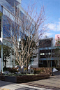 【PLAT design】竹藤的魅力——日本AOYAMA346株式会社入口景观