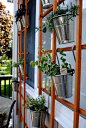 Hanging Trellis Herb Garden