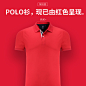 商务POLO衫定制T恤 企业文化衫团体服刺绣印logo 工作服短袖定做