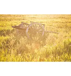 情迷扎鲁特_内蒙古_黄河上下_光影天下_数码生存-小林的摄影设计手绘文字