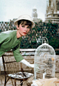 Audrey Hepburn