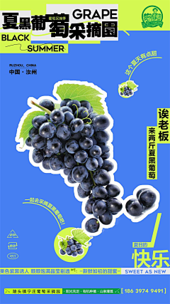 小米粥的爸爸采集到kt板