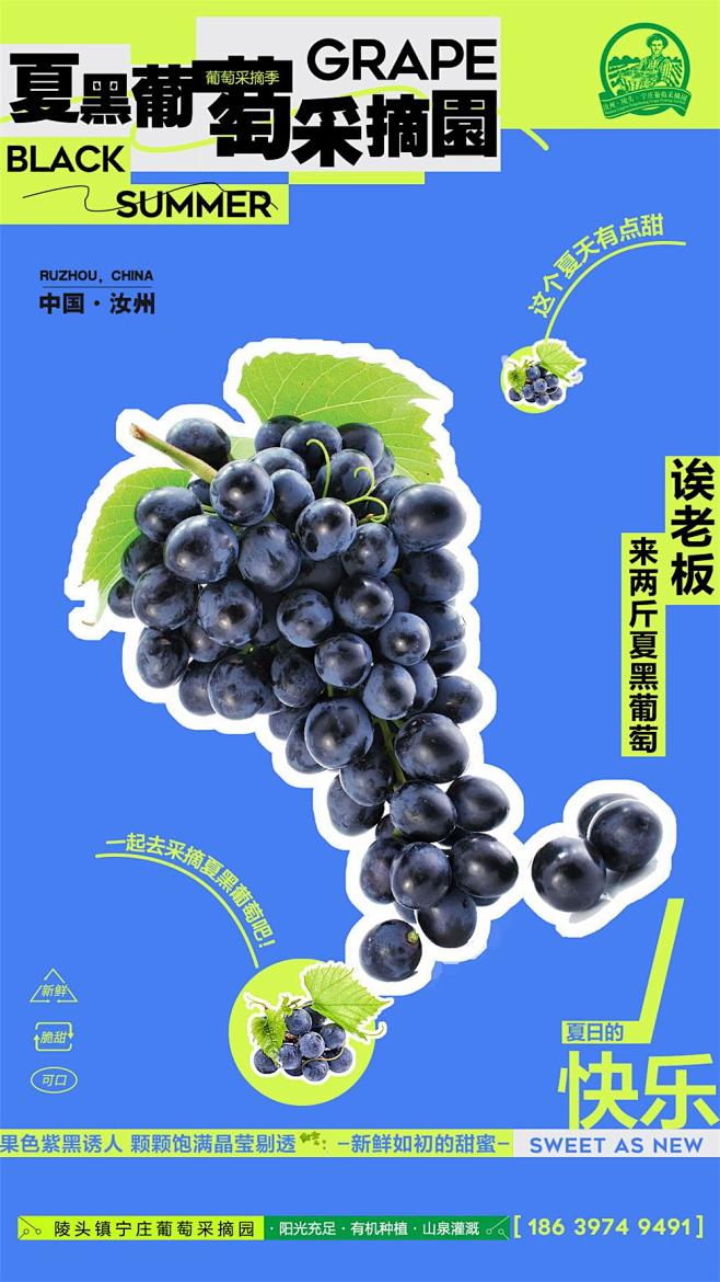 葡萄采摘海报设计师葡萄采摘海报