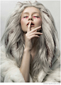 Arctic Princess : -