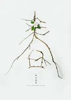 爆火！小红书10W+的海报长啥样？！_元素_作品_腔调