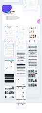 June - eCommerce Product- Web / UI PSD : June is a Multi-purpose eCommerce Template with Best in Class UI/UX and Unmatched Shop Making Experience which makes it  ideal for projects scoping from Small Shops to Complex Marketplaces.