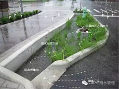 双份长颈鹿采集到雨水花园&海绵