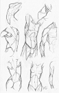 Random anatomy sketches 5 by RV1994