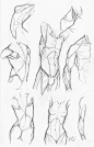 qun-Random anatomy sketches 5 by RV1994 on deviantART