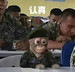 一组咪子汪子马娄子表情包