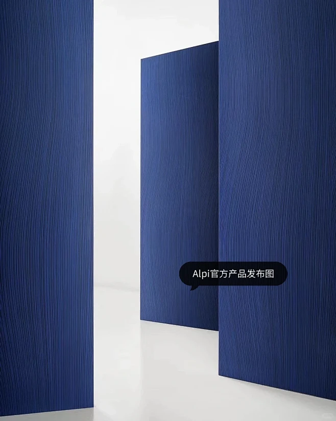 考验设计师功底的克莱因蓝Alpi木皮 - 小红书-花瓣网