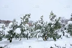 冬天,地形,冰晶,雪球,大风雪,暴风雨,水平画幅,雪,无人