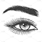 人的眼睛,女人,草图,自然美,格拉摩根郡,前额,睫毛,眉毛,眼睑,肤色