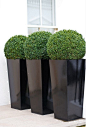 20 Beautiful Porch Planter Ideas • Diamonds or Pearls