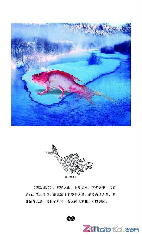 【异兽】冉遗鱼
【原文】 英鞮之山，涴水...
