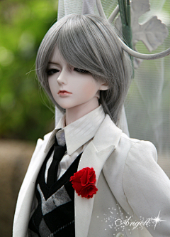 素家小神龙采集到bjd