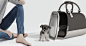The aroma pet carrier