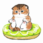 (12) Pinterest