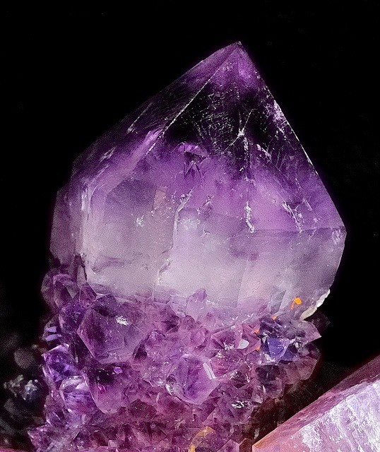 仙人掌紫晶