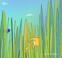 捉迷藏