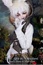 peaks woods pw白兔子1/3 bjd sd娃娃偶doll FOC LE White Rabbit-淘宝网