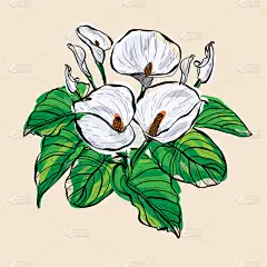 动物手,请柬,事件,周年纪念,植物群,婚礼,插花,绘制,问候,排列