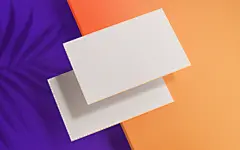 高档绚烂白色商务名片展示样机