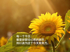红豆芝麻玉米糊采集到#拥抱世界