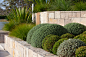 Mosman landscape architecture