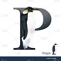 向量插图的字母P是企鹅字母表。英语广播公司