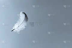 天空,翎毛,一只动物,人造的,风,水平画幅,符号,鸟类,纯净,偏远的