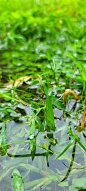 雨停之后