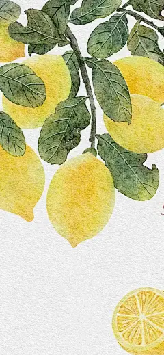 《壁纸·水果》