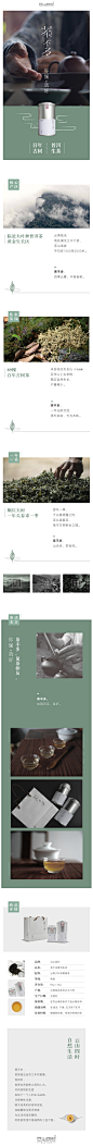 云山四时·茶不多 - 云山四时