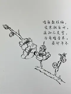 白描梅花