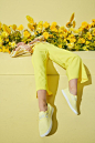 Allbirds | Jimmy Marble