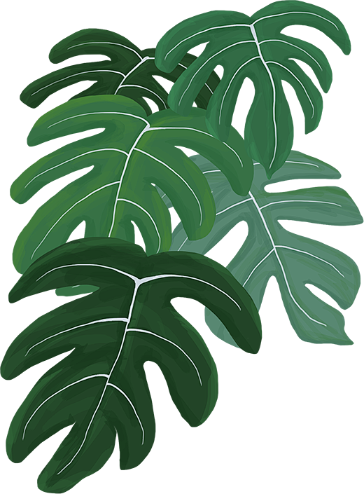 叶子免抠PNG元素北欧森系插画植物素材插...
