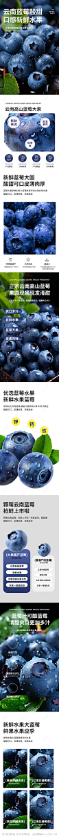 生鲜水果蔬菜蓝莓电商详情页-源文件-志设网-zs9.com