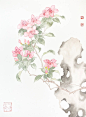 杜鹃花2
