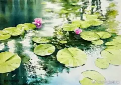 水彩---叶子 - 高清图片，堆糖，美图壁纸兴趣社区