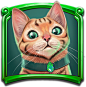 Classy Cats - POP! Slots Game Art on Behance-2