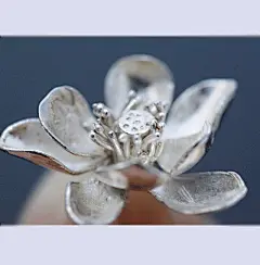 耳畔盛开的莲@北坤人素材