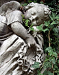 sleeping angel | Stone Angels...