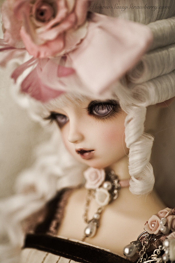 DOLL