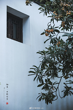六月emmm采集到场景素材