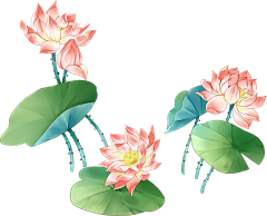 沁园春阳采集到花鸟
