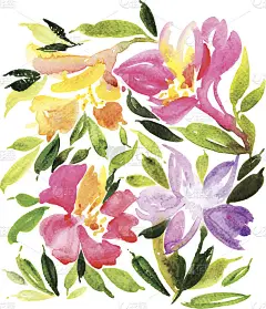 水彩贺卡花。