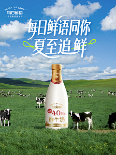 翱翔的鱼儿采集到蒙牛
