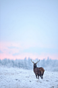 earthandanimals: Go away, I’m not talking to you... - Some people feel the rain. Others just get wet.